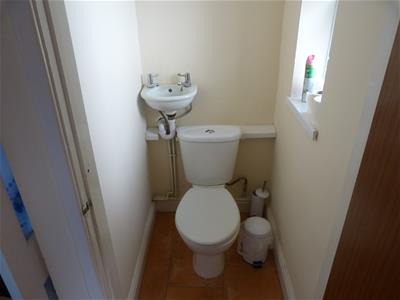 Picture 7